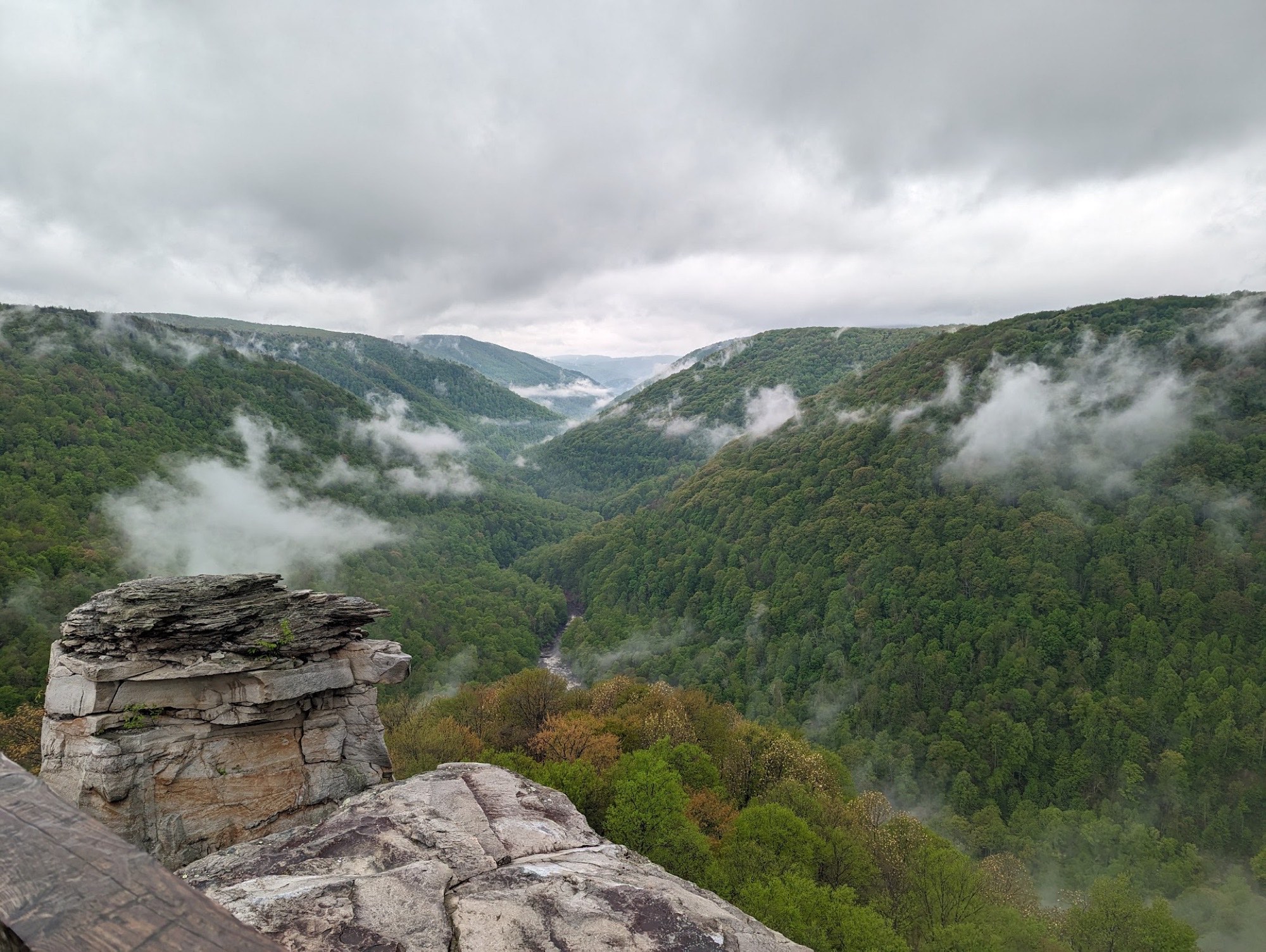 Stone outcrop above the Blackwater Canyon at Lindy Point