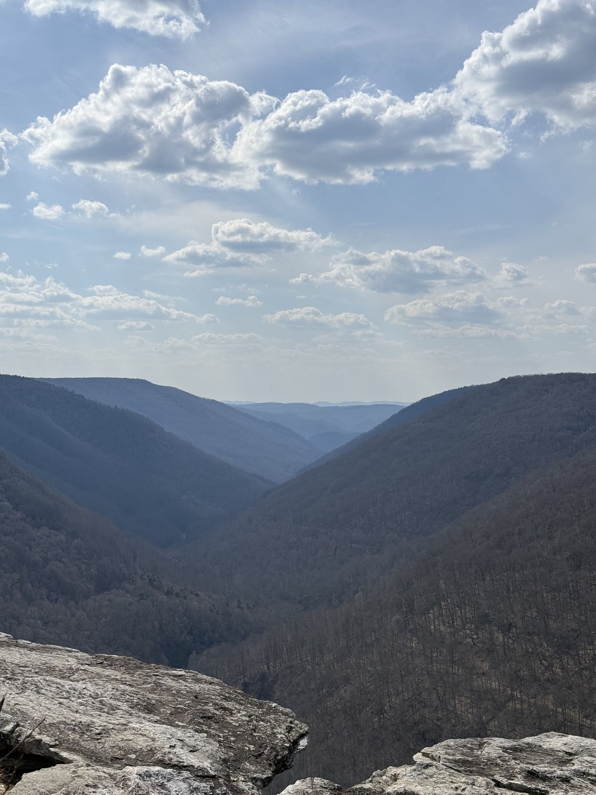 A deep V-shaped canyon of bare winter forest receding into the hazy distance under a wide sky of scattered clouds, seen from a rocky ledge.