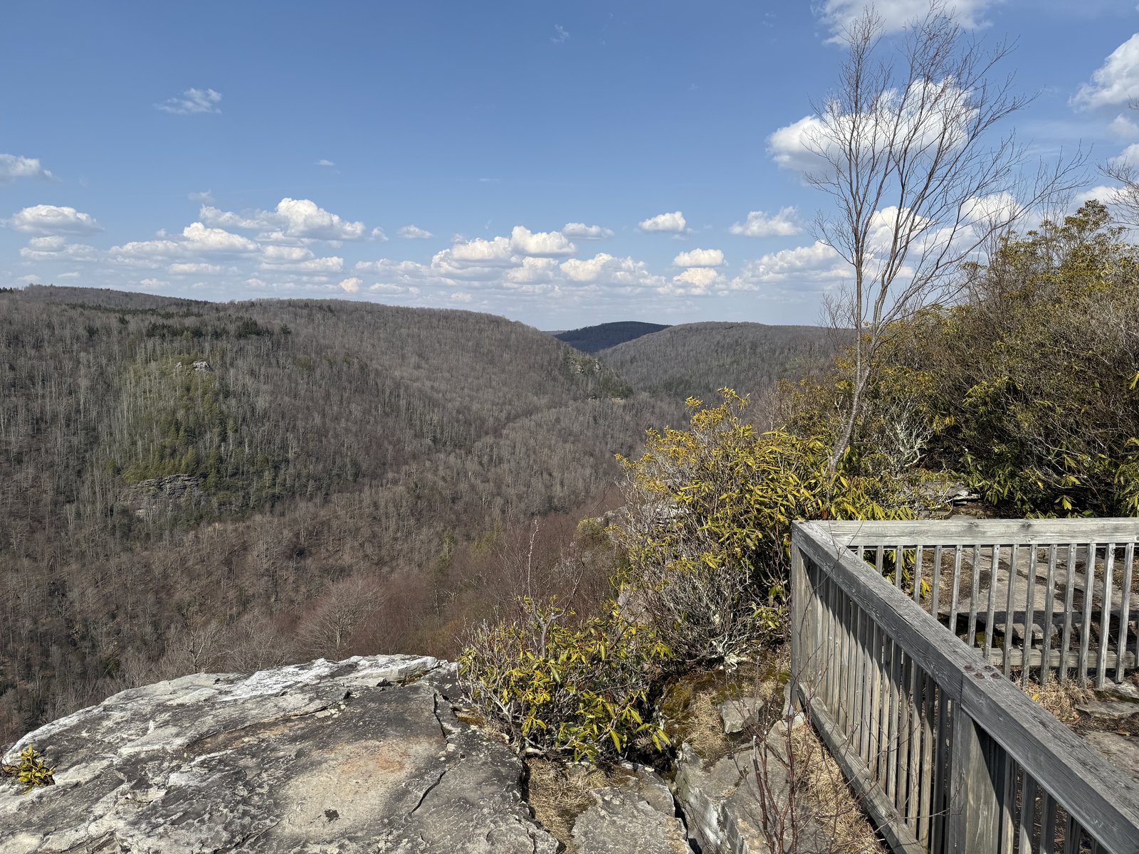 A wooden railing on a rocky overlook at the edge of a cliff, with bare hardwood hillsides and the Blackwater Canyon under a blue sky with scattered clouds.
