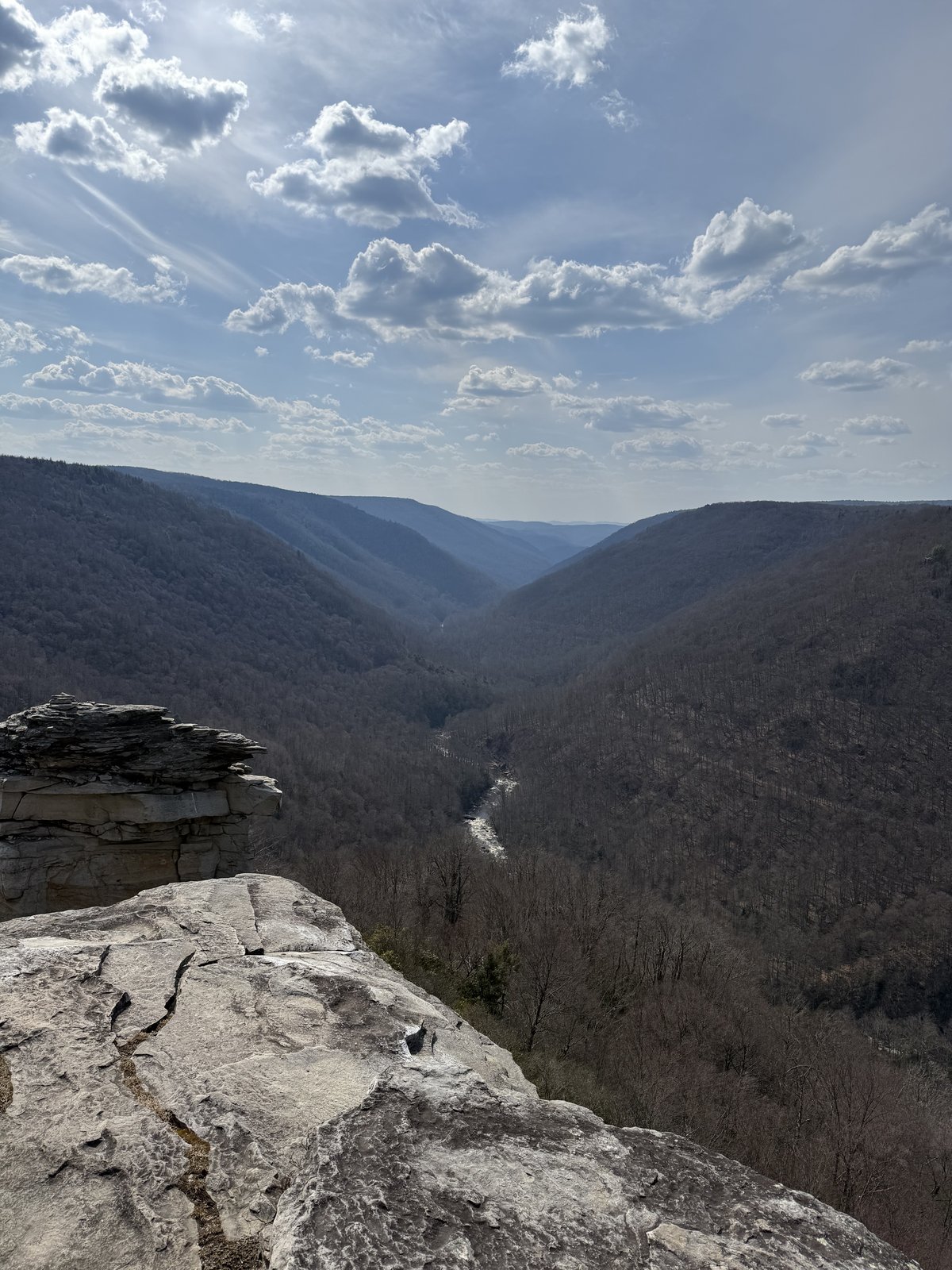 A rocky promontory jutting out over the Blackwater Canyon, with the river far below and forested ridges receding into haze under a dramatic cloudy sky.