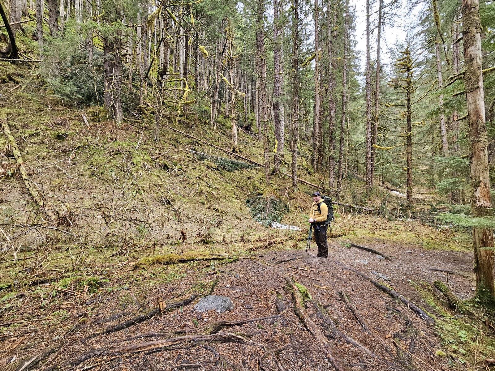 A hiker standing on a wide expanse of smooth gray bedrock in the forest, with a mossy green slope rising behind.