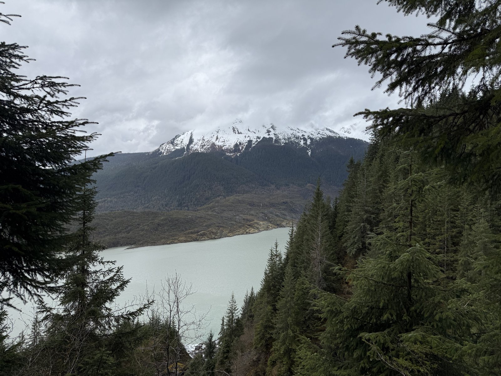 A snow-capped mountain rising above a pale, milky green glacial lake, framed by dark spruce trees in the foreground.