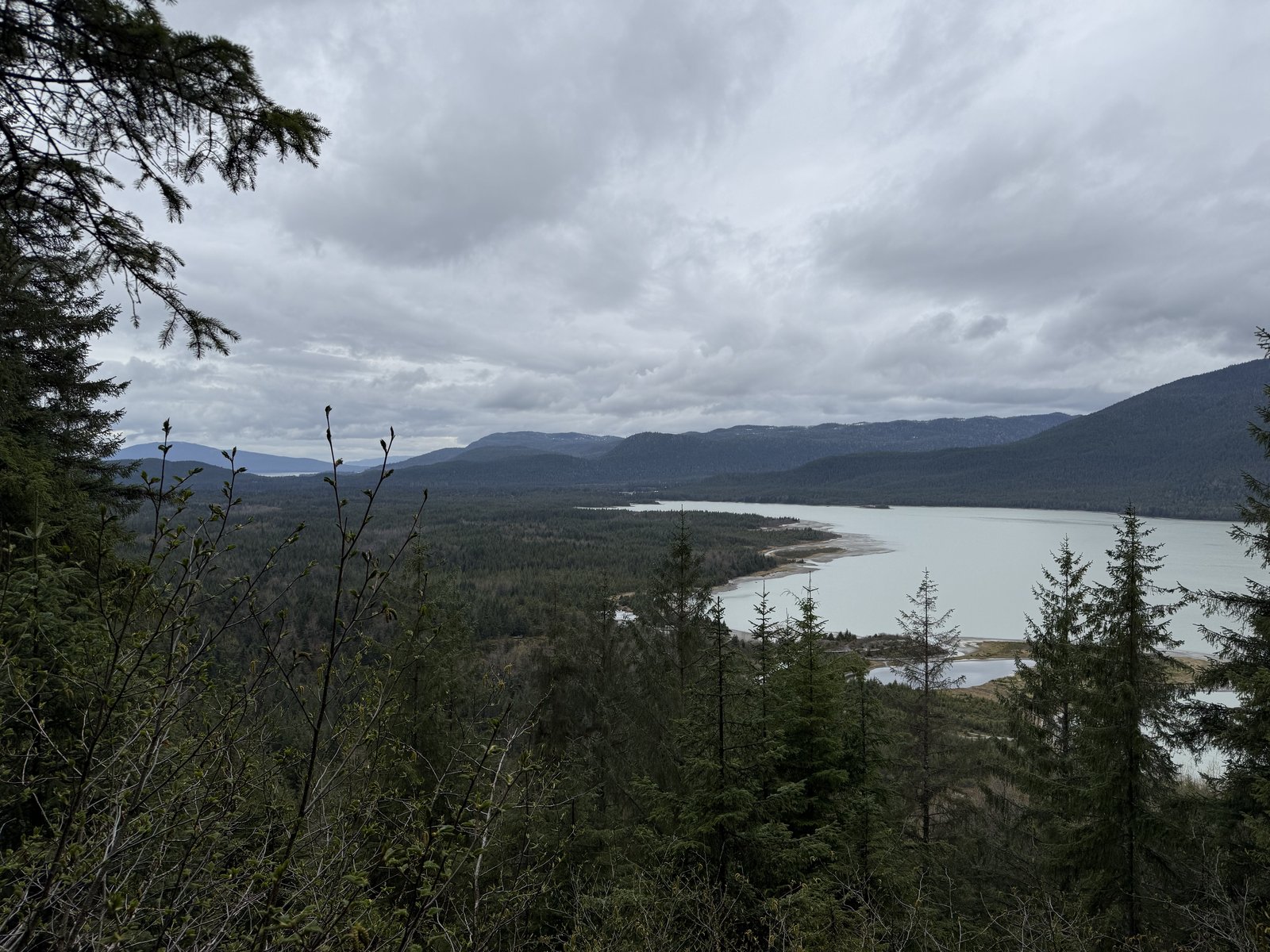 A broad view over a forested valley and a wide glacial lake under a heavy, low gray sky, with spruce in the foreground.
