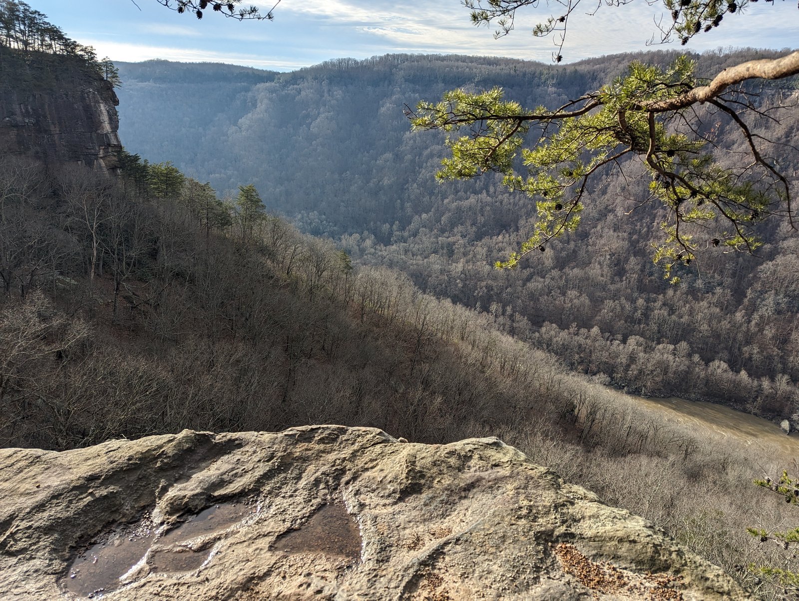 A wide view across the New River Gorge from a sandstone ledge, with bare hardwood hillsides, distant cliff faces, and a green pine bough framing the right under a blue sky.