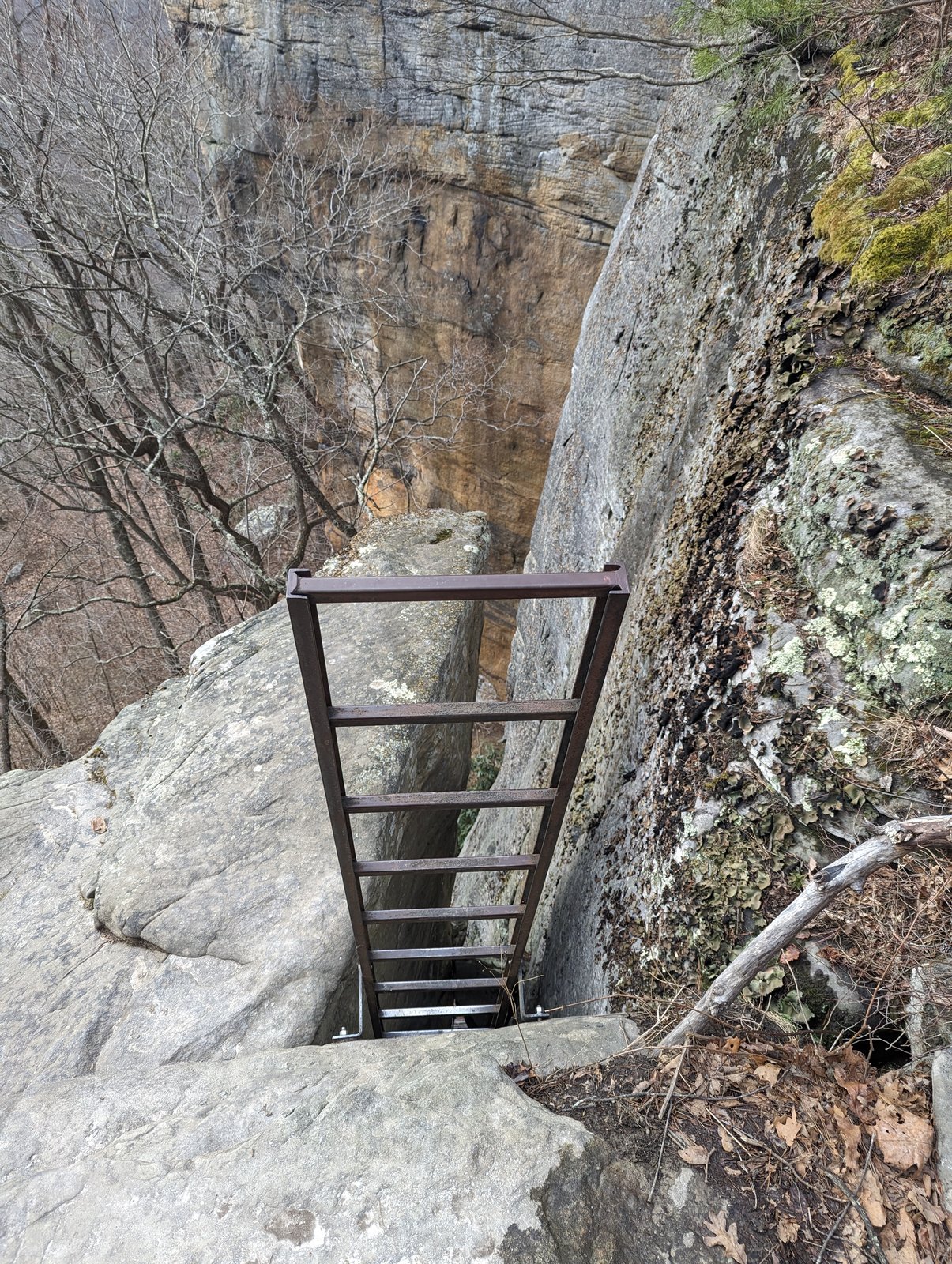 A steel ladder bolted into the rock, descending through a narrow cleft between sandstone walls of the Endless Wall.