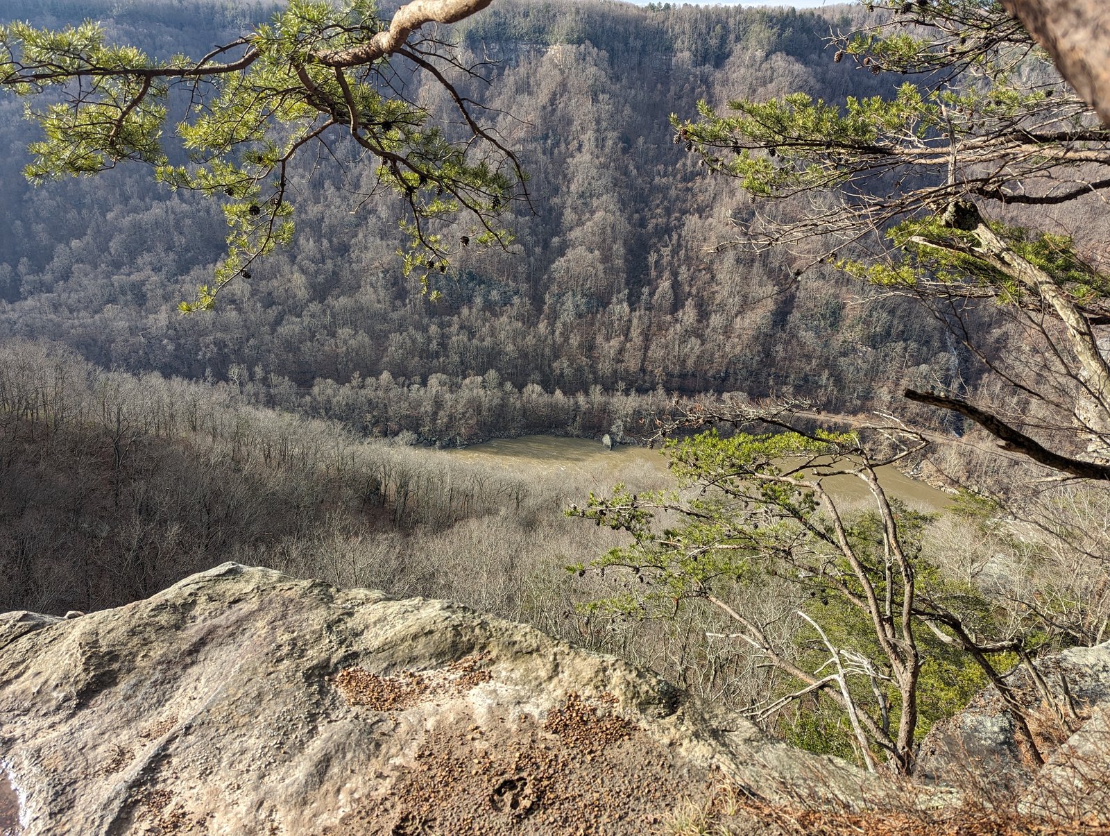 Looking down from a rocky outcrop into the New River Gorge, with bare winter forest on the far slope and a tan floodplain below, a pine bough overhead.