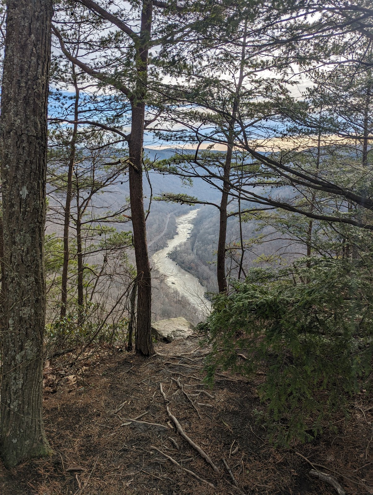 A framed view between pine and hemlock trunks down to the New River winding through the hazy gorge far below.