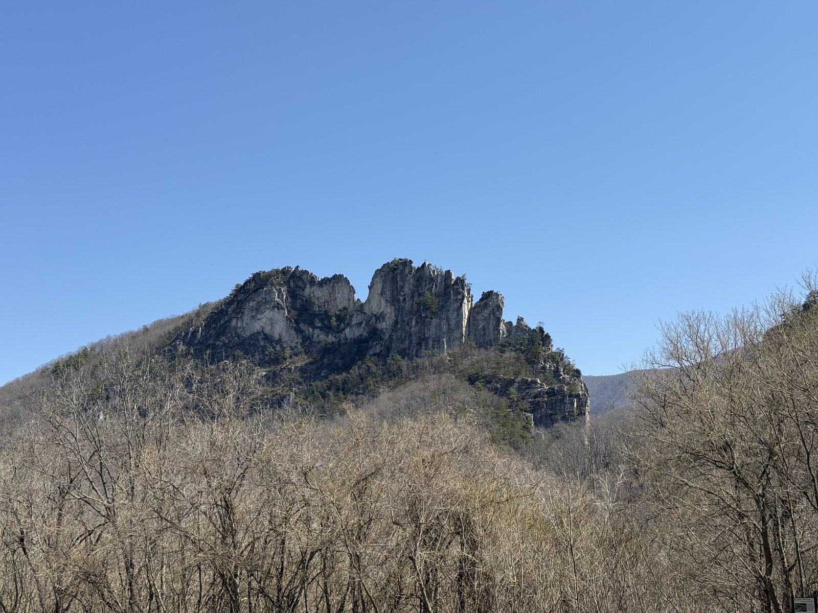 The jagged quartzite fin of Seneca Rocks rising above a bare, leafless hardwood forest under a clear blue sky.